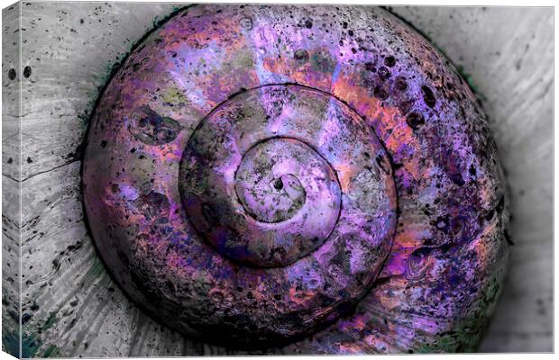 Opalescent Weathered Spiral  Canvas Print by Kelly Bailey