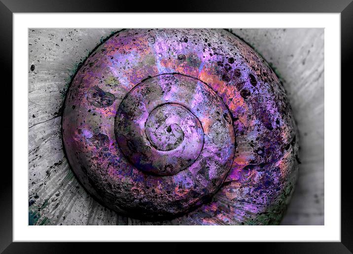 Opalescent Weathered Spiral  Framed Mounted Print by Kelly Bailey