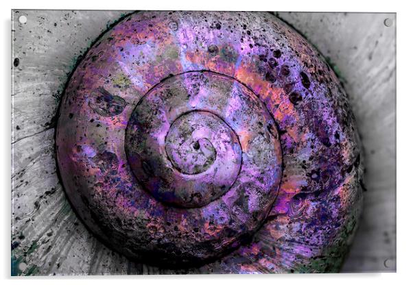 Opalescent Weathered Spiral  Acrylic by Kelly Bailey
