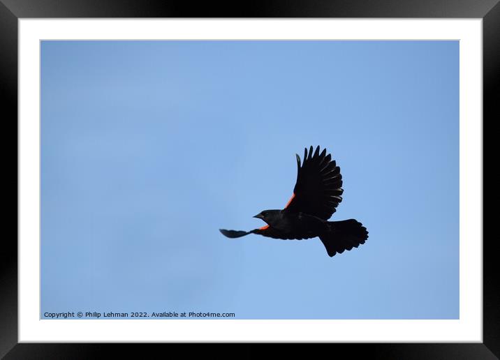 Sky object Framed Mounted Print by Philip Lehman