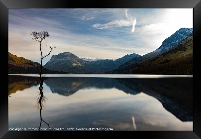 The Lone Tree at Buttermere Framed Print by Storyography Photography