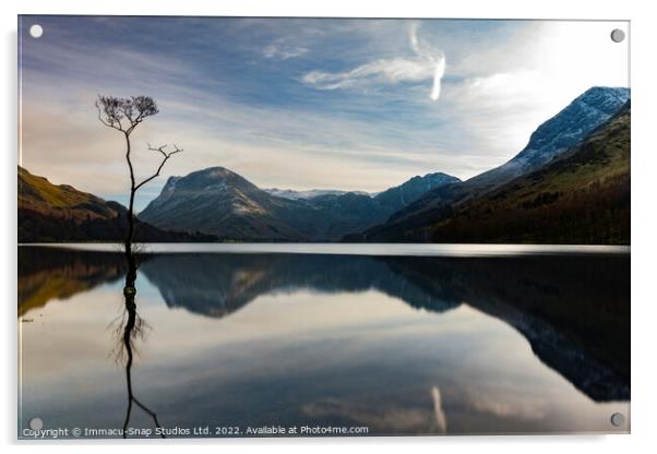 The Lone Tree at Buttermere Acrylic by Storyography Photography