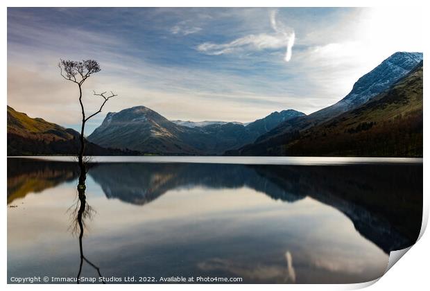 The Lone Tree at Buttermere Print by Storyography Photography