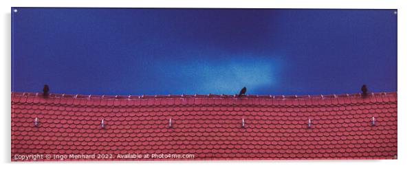 Storm birds Acrylic by Ingo Menhard