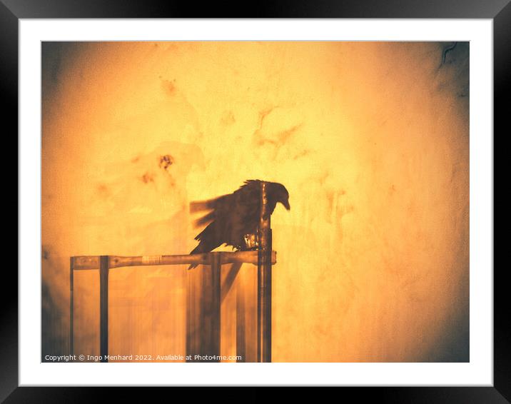 Day of the raven Framed Mounted Print by Ingo Menhard