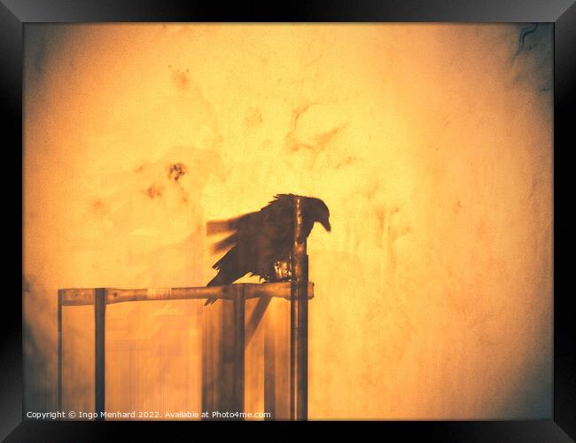 Day of the raven Framed Print by Ingo Menhard