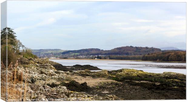 View across the river Dee Canvas Print by Richard Long