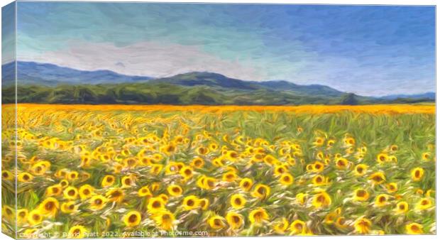 Sunflower Panorama art Canvas Print by David Pyatt