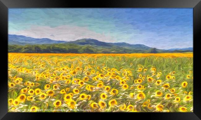 Sunflower Panorama art Framed Print by David Pyatt
