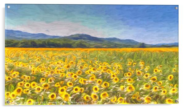 Sunflower Panorama art Acrylic by David Pyatt