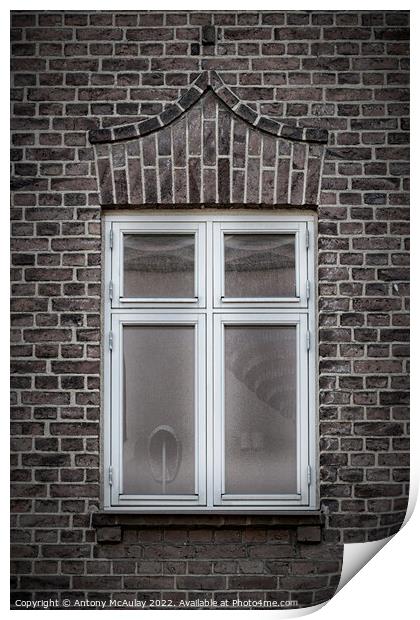 Brick Wall Single Window Print by Antony McAulay