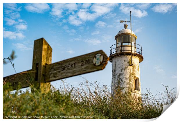 Hale Village Lighthouse Print by Dominic Shaw-McIver