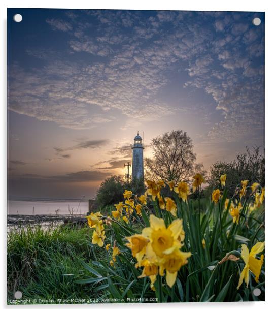 Dazzling Sunset over Hale Village Lighthouse Acrylic by Dominic Shaw-McIver