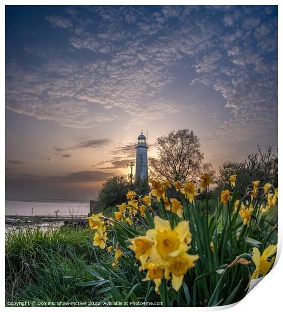 Dazzling Sunset over Hale Village Lighthouse Print by Dominic Shaw-McIver