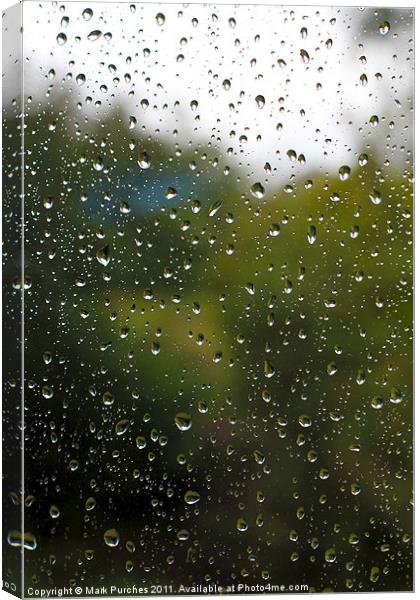 Summer Rain Drops Canvas Print by Mark Purches