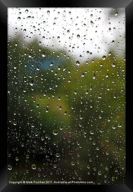 Summer Rain Drops Framed Print by Mark Purches