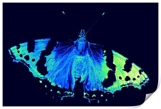 neon butterfly Print by rachael hardie