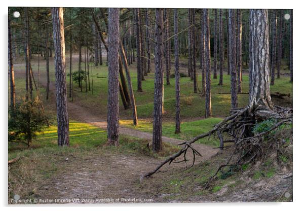 Forest in Norfolk Acrylic by Eszter Imrene Virt