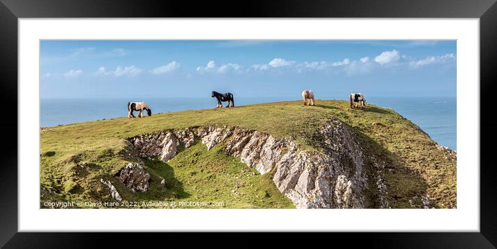 Rhossili Bay Horses Framed Mounted Print by David Hare