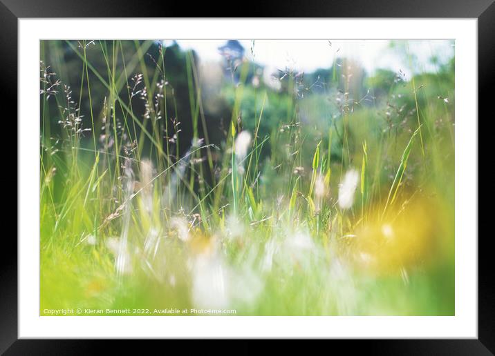On the grass Framed Mounted Print by Kieran Bennett