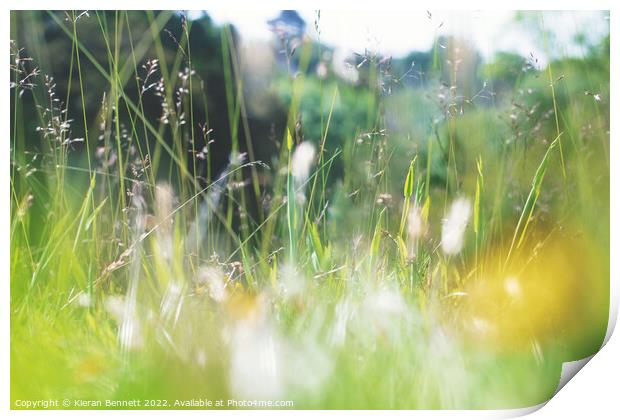 On the grass Print by Kieran Bennett