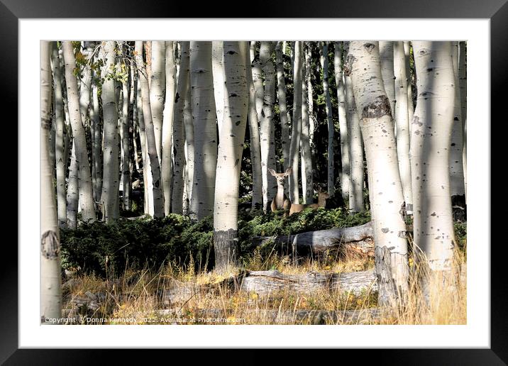 Deep In the Woods Framed Mounted Print by Donna Kennedy