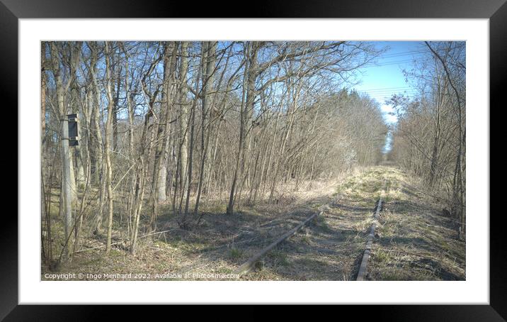 Old overgrown and unused train tracks in the forest Framed Mounted Print by Ingo Menhard