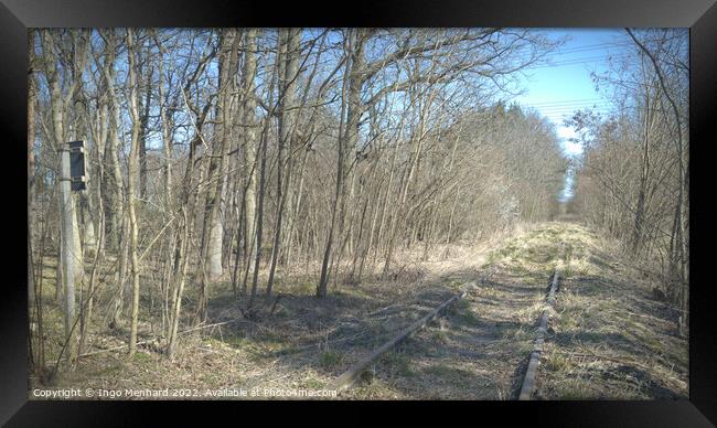 Old overgrown and unused train tracks in the forest Framed Print by Ingo Menhard