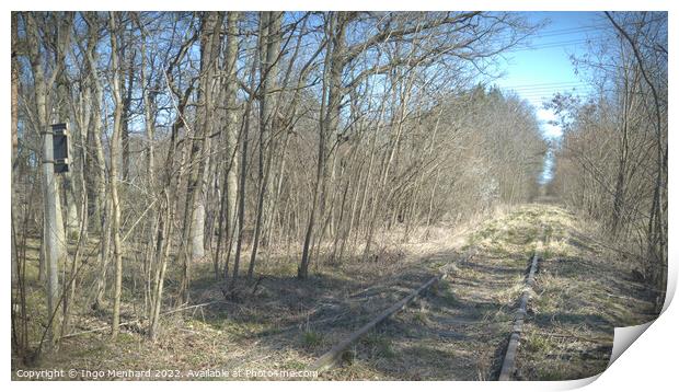 Old overgrown and unused train tracks in the forest Print by Ingo Menhard