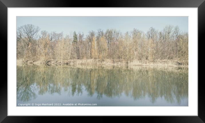 Trees are reflected in the water of the forest lake Framed Mounted Print by Ingo Menhard