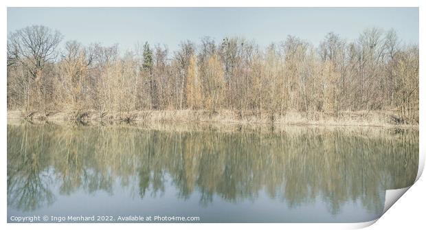 Trees are reflected in the water of the forest lake Print by Ingo Menhard