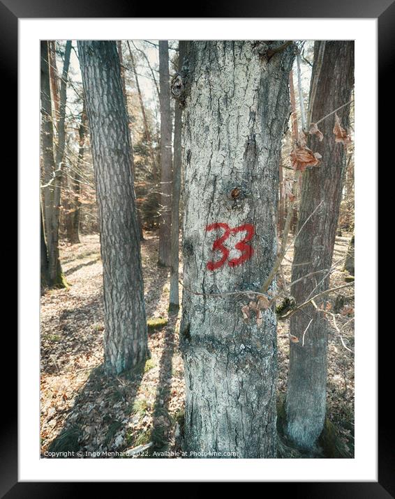 Number 33 painted on a tree Framed Mounted Print by Ingo Menhard