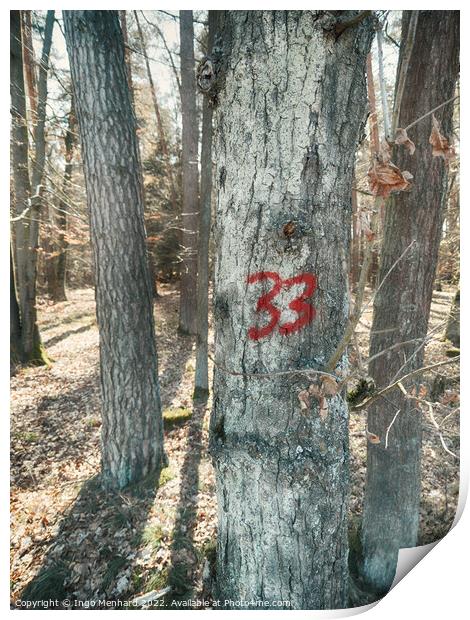 Number 33 painted on a tree Print by Ingo Menhard