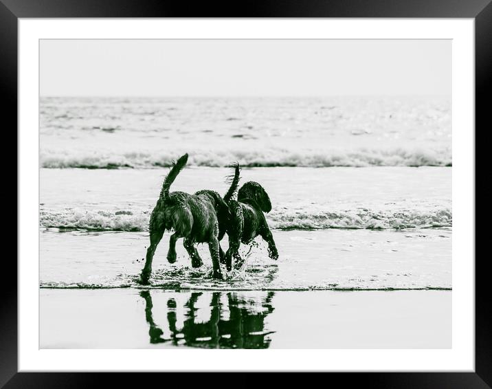 Follow my leader Framed Mounted Print by David Martin