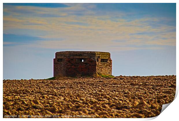 Pillbox from WW2 Print by GJS Photography Artist