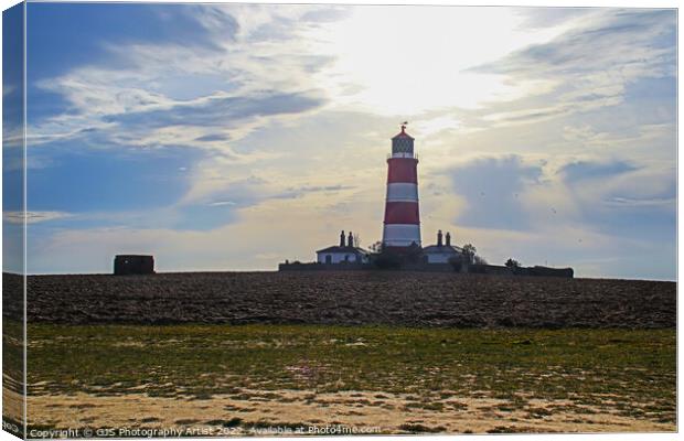 Lighthouse Pillbox and Seagulls Canvas Print by GJS Photography Artist