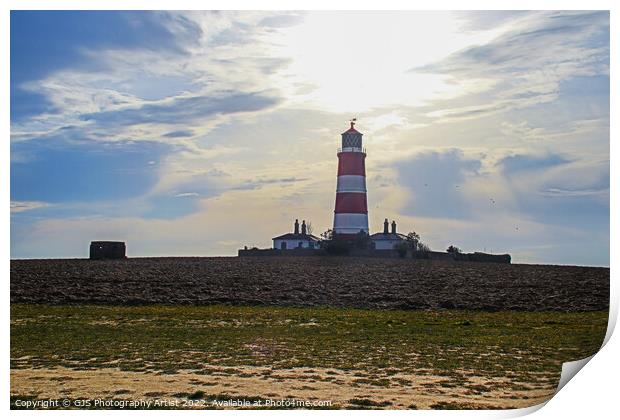 Lighthouse Pillbox and Seagulls Print by GJS Photography Artist