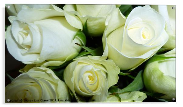 Simply roses Acrylic by Sharon Lisa Clarke