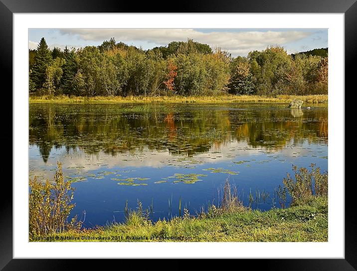 Autumn At Somes Pond, Maine, USA Framed Mounted Print by Nataliya Dubrovskaya