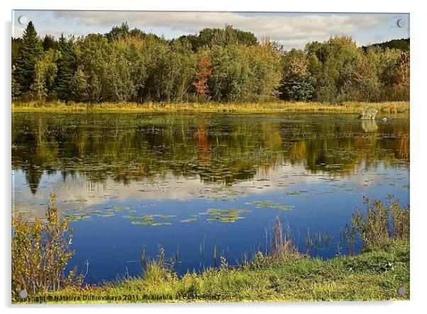 Autumn At Somes Pond, Maine, USA Acrylic by Nataliya Dubrovskaya