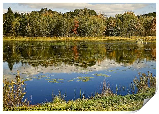 Autumn At Somes Pond, Maine, USA Print by Nataliya Dubrovskaya