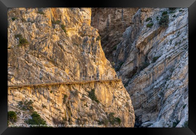 Camino del Rey Framed Print by DiFigiano Photography
