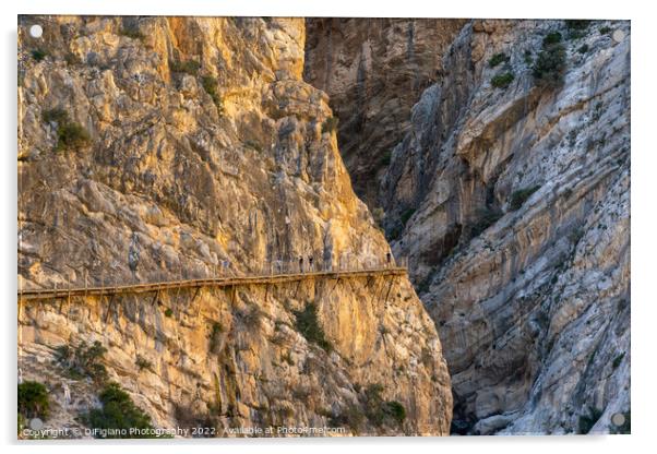 Camino del Rey Acrylic by DiFigiano Photography