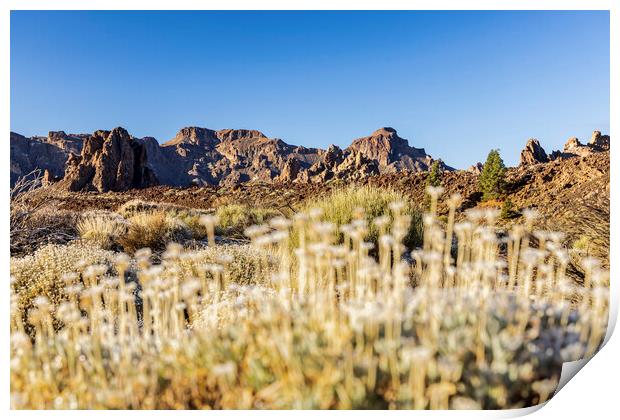 Volcanic landscape Tenerife Print by Phil Crean