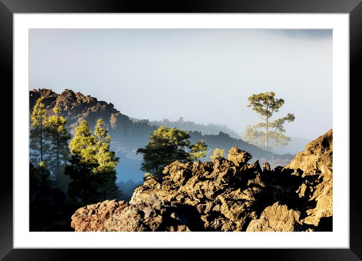Pines and volcanic landscape in the mist Tenerife Framed Mounted Print by Phil Crean