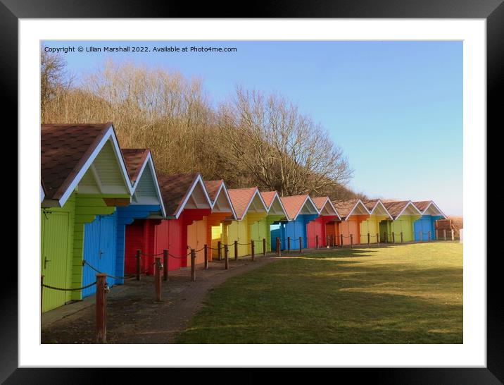 Scarborough Beach Huts.  Framed Mounted Print by Lilian Marshall