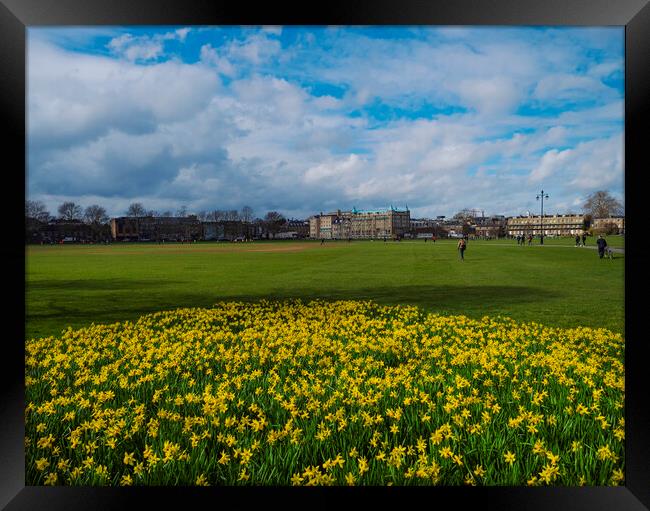 Cambridge In Springtime Framed Print by Clive Eariss