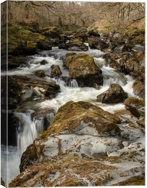 Scaur water in Penpont Dumfries Scotland Canvas Print by christian maltby