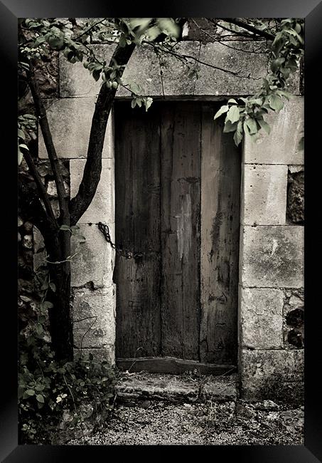 Hidden Door Framed Print by Jacqi Elmslie