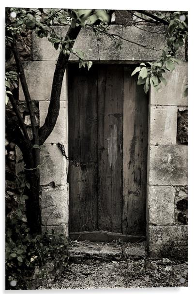 Hidden Door Acrylic by Jacqi Elmslie